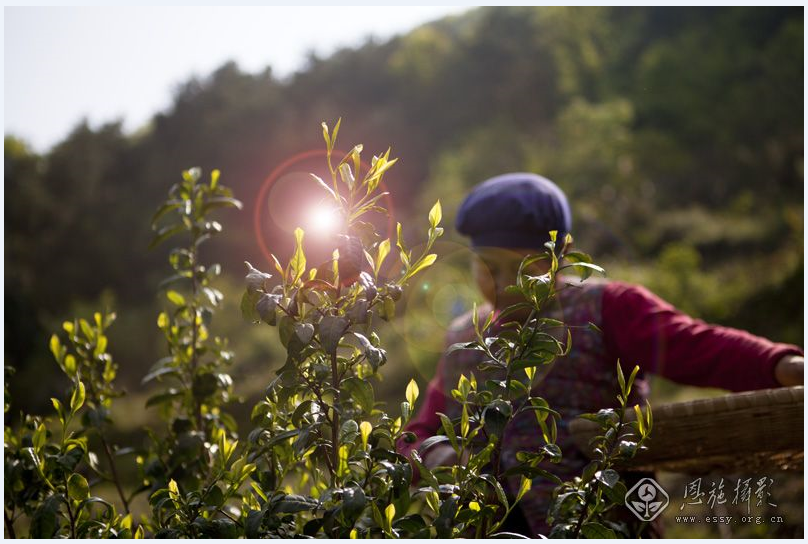 1598844618471.png 圖片1.png