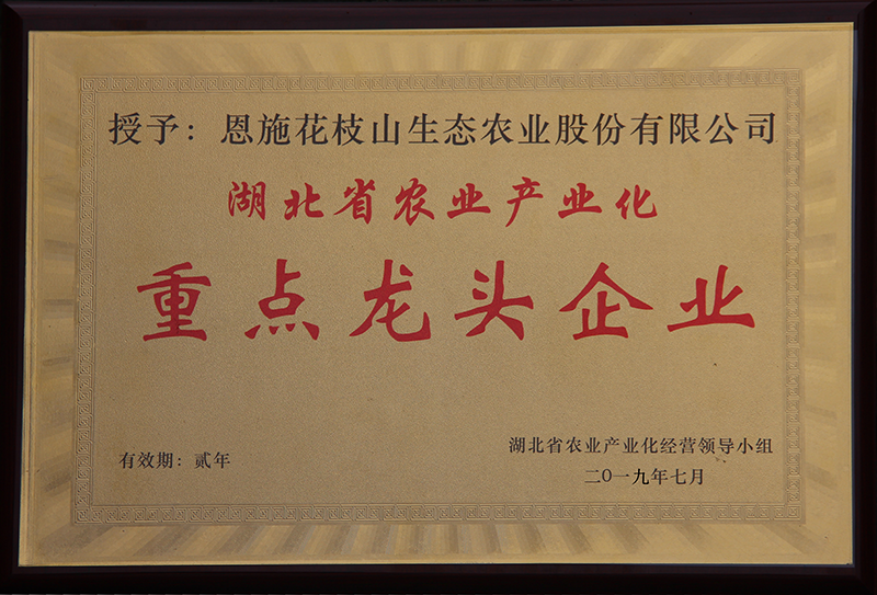 1670816709207.png 圖片2.png