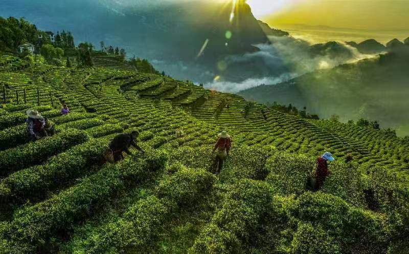 1670816981867.jpg 微信圖片_20221212113554.jpg