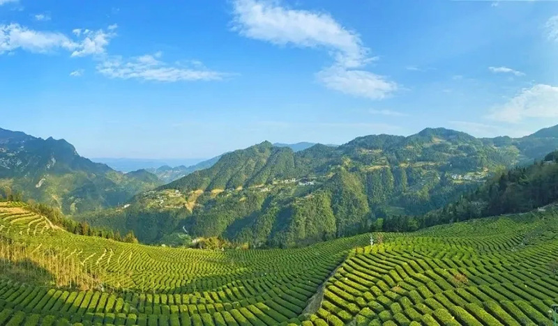 1670817009696.jpg 微信圖片_20221212113522.jpg