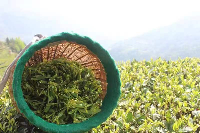 1670817021098.jpg 微信圖片_20221212113546.jpg